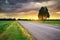 Road in meadow