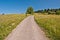 Road, meadow, isolated tree and isolated houses