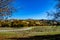 A Road Meanders Through Joseph D Grant County Park