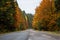 Road in the middle of Colorful autumn forest