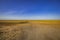 a road in the middle of the desert in kalmykia