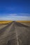 a road in the middle of the desert in kalmykia