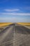 a road in the middle of the desert in kalmykia