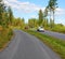 A road in the middle of a pine forest, one of the retro cars