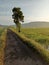 the road in the middle of the ricefields