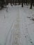 The road in the middle of snowy trees. The first snow, winter landscape