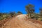 Road in mountain off road, gravel uphill Australia