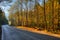 Road through mountainous forest