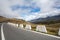 Road in the mountains. Andes. Venezuela