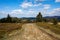 Road in the mountains, Beskidy Mountains, Poland