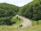 Road in the mountains with green trees forests