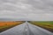 The road in the mountains and steppes in the rain one side yellow field another green