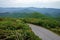 Road in the Mountains to Brasstown Bald