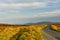 Road in mountains, Wicklow, Ireland