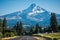 The road through Mt. Hood`s Fruit Loop with Mt. Hood mountain looming in the background in Oregon