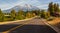 Road through Mt Shasta, Northern California