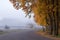 Road near the autumn trees. Misty autumn landscape.