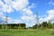 Road near the forest. Deciduous trees, young foliage and grass. Cloudy sky