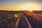 Road near a wheat field at sunset against a gradient sky background Belarus, Grodno