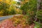 Road through New England colorful  forest in fall