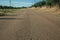 Road next to farm with olive trees