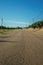 Road next to farm with olive trees