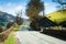 Road through the North Wales countryside