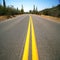 Road in the Organ Pipe National Monument