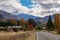 A road in the Otago region, New Zealand, in autumn