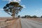 Road, Outback of Western Australia