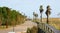 Road over the bridge over the Riera de Canyars in GavÃ¡