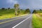 Road With Painted Double Yellow Line, New Zealand