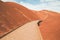 Road in the Painted Hills, John Day Fossil Beds National Monument