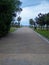 Road in the park leading to the sea. Coast of the Black Sea. Park in Georgia. Pedestrian zone. Beautiful place. . Cloudy. people