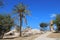 Road in park and ruins of the tower in the park, Ashkelon, Israel