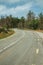 Road passing through burnt forest on rocky landscape