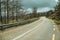 Road passing through burnt forest on rocky landscape