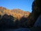 Road passing through colorful forests