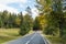 The road passing through the forest at the foot of the Carpathian Mountains near the city of Bran in Romania