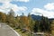 The road passing in the gorge at the foot of the Carpathian Mountains near the town of Bran in Romania