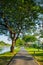 Road pathway Jogging track in the public park under big tree