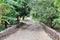 A road, pathway in a park, Mauritius