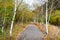 Road or pathway with sunrise  in autumn forest Kamikochi national park in Japan.