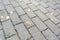 Road paved of brick stones in the fall. Cobble background