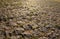 Road paved with setts closeup