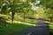 Road in a public park in lush surroundings