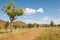 Road in Purnululu National Park, Australia