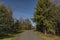 Road between Pustevny and Radhost hill in spring color morning