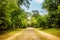 Road through rainforest in ancient Angkor Wat in Cambodia