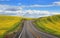 Road through Rapeseed fields